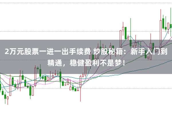 2万元股票一进一出手续费 炒股秘籍：新手入门到精通，稳健盈利不是梦！