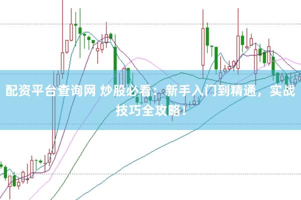 配资平台查询网 炒股必看：新手入门到精通，实战技巧全攻略！