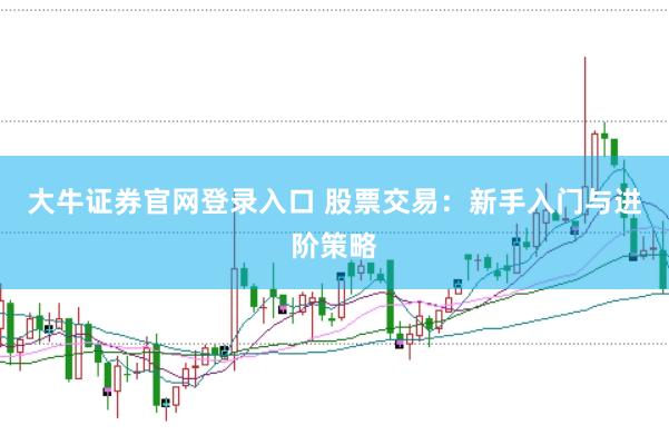 大牛证券官网登录入口 股票交易：新手入门与进阶策略